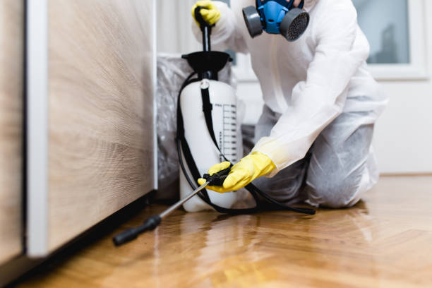Best Pest Prevention Services  in Perry, UT