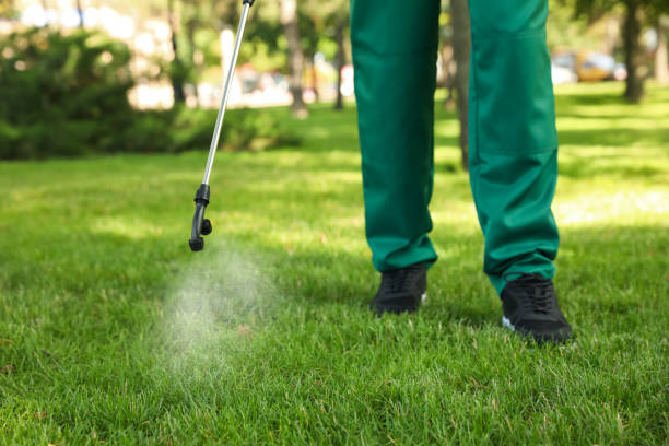 Best Pest Inspection Near Me  in Perry, UT
