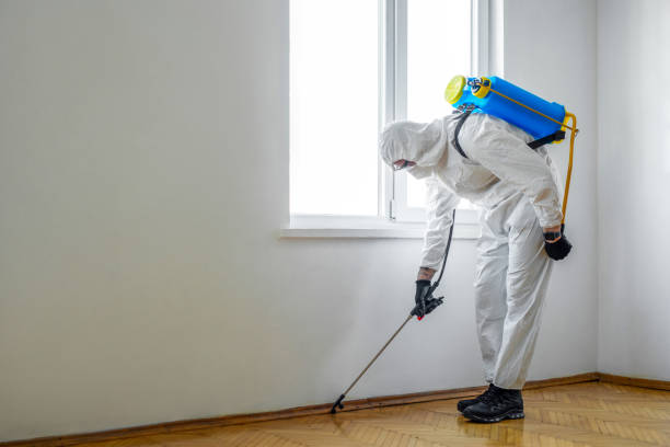 Best Residential Pest Control  in Perry, UT