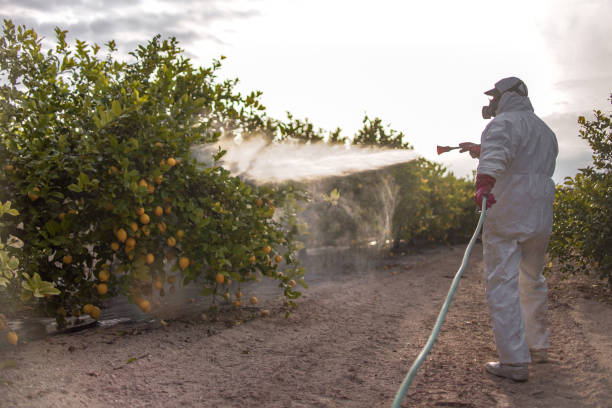 Best Emergency Pest Control  in Perry, UT