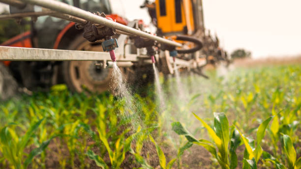 Best Wildlife Control Services  in Perry, UT